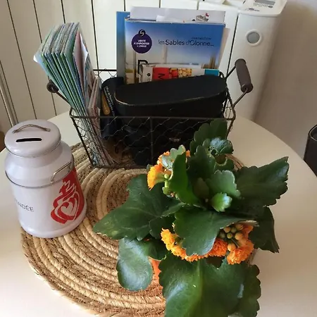 Le Pin Des Barges Appartement